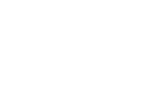 Magnific logo